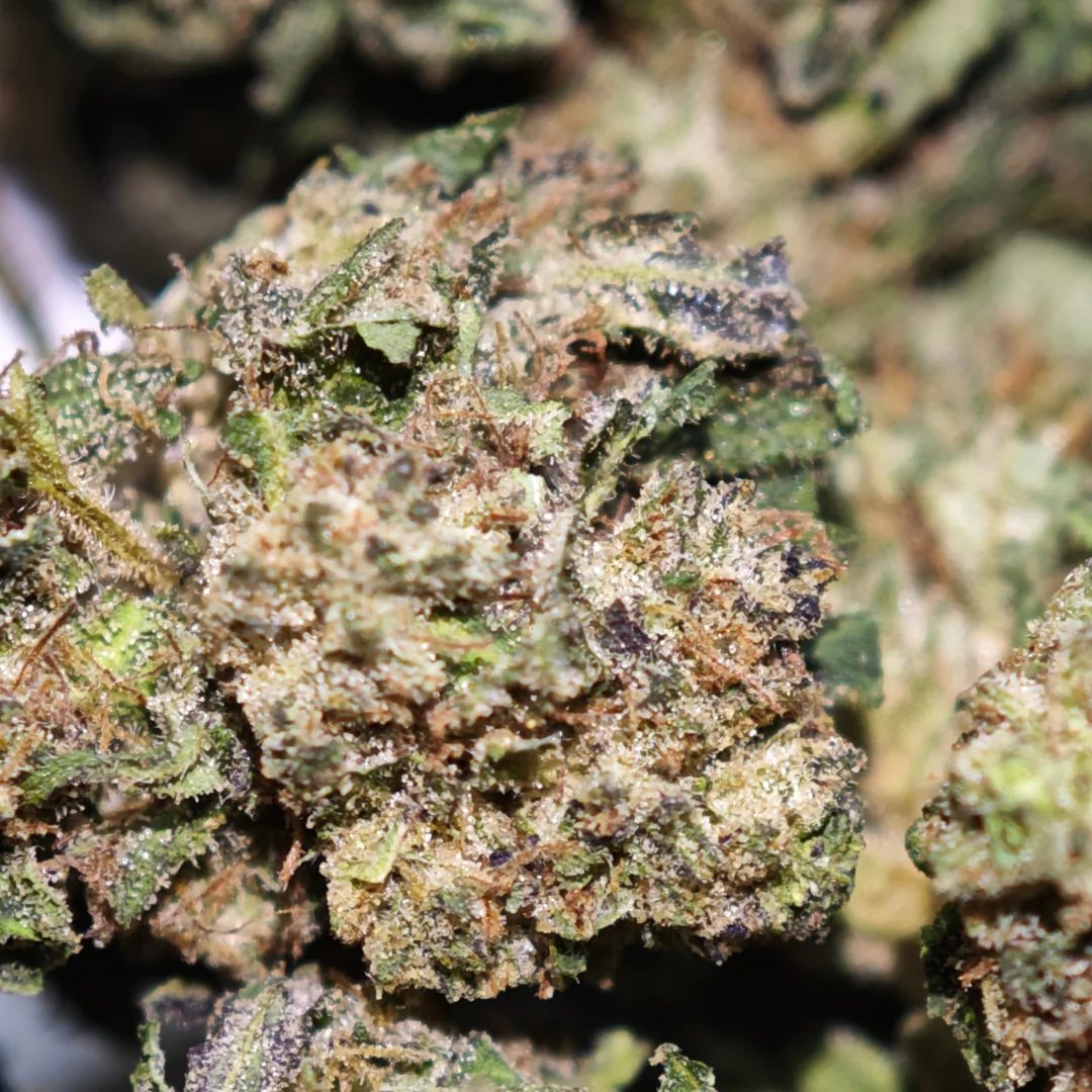 Cake Berry 3