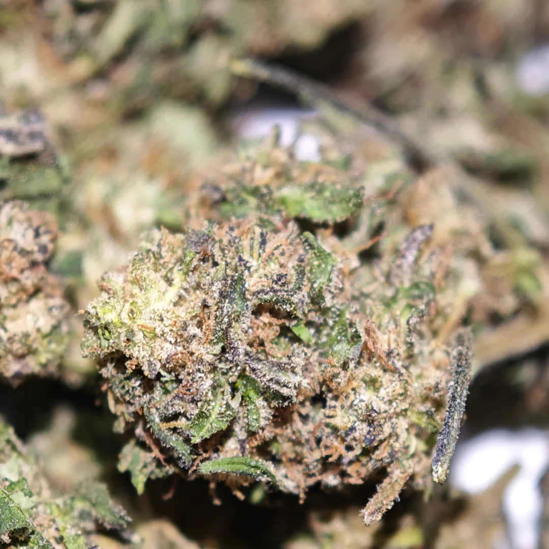 Cake Berry 2