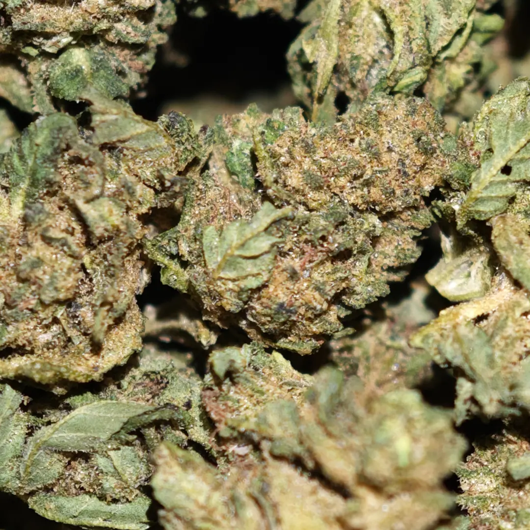 Strawberry Mini