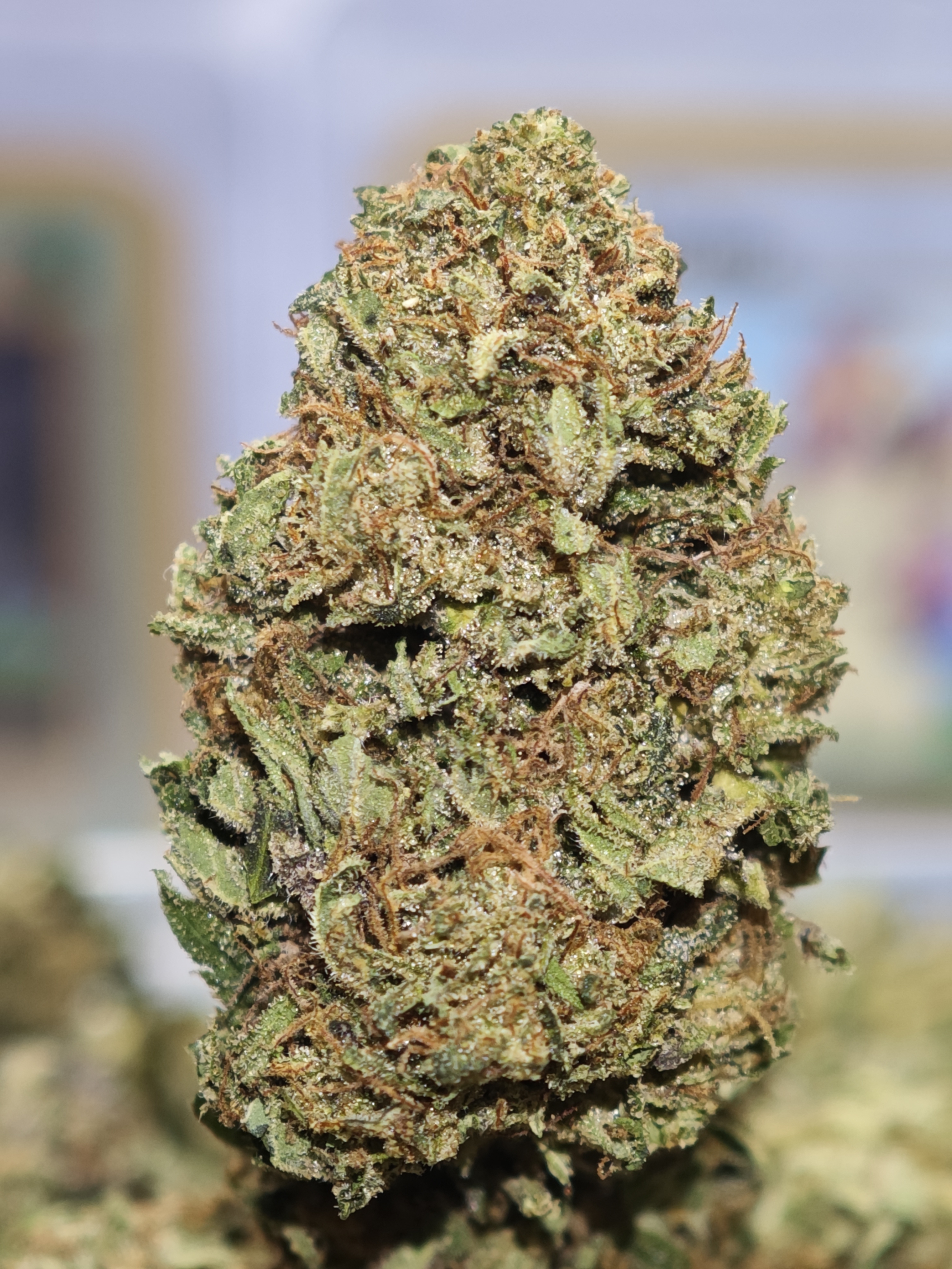Lemon Sweet