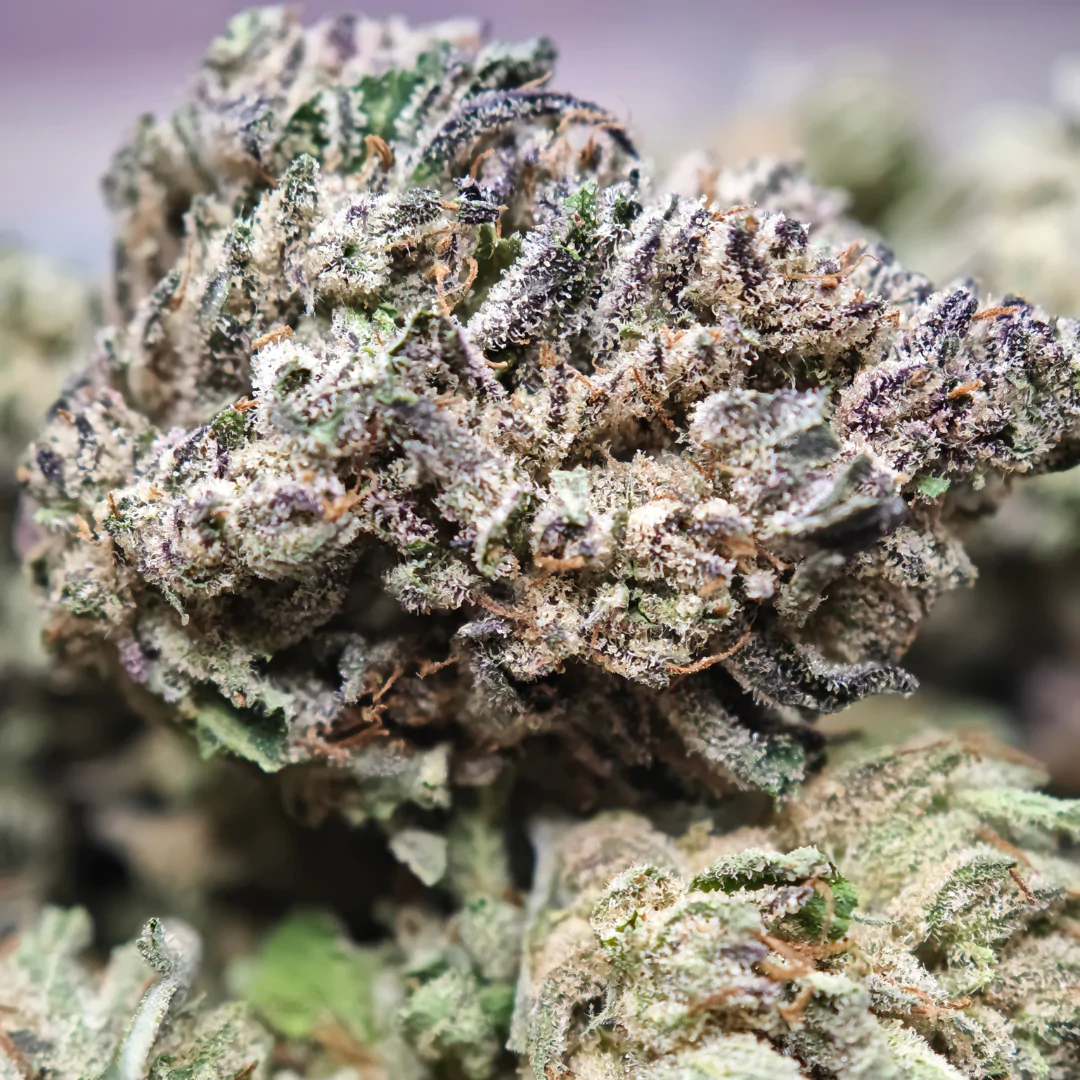 Blue Cheese 2