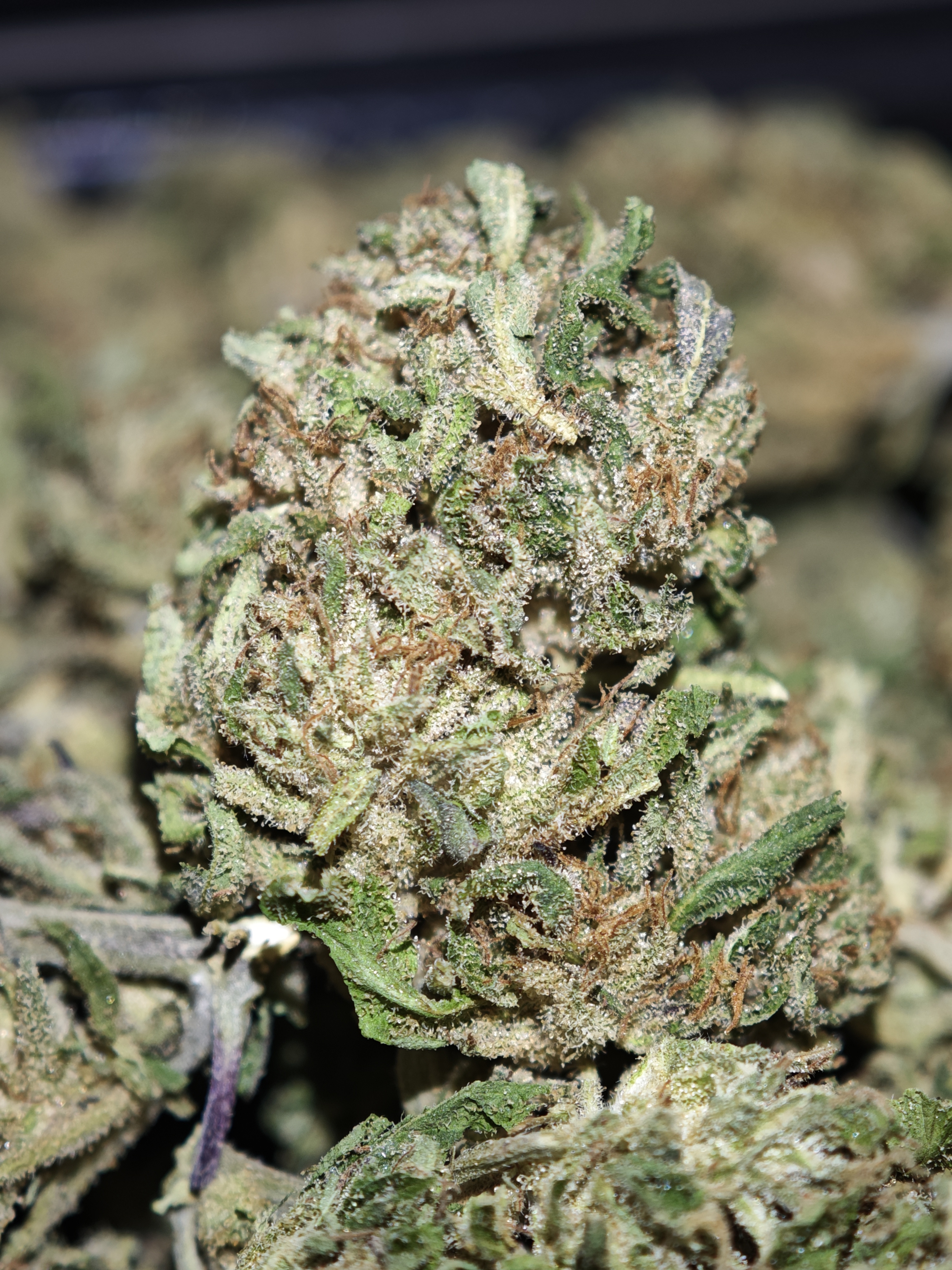 Hawaïan haze