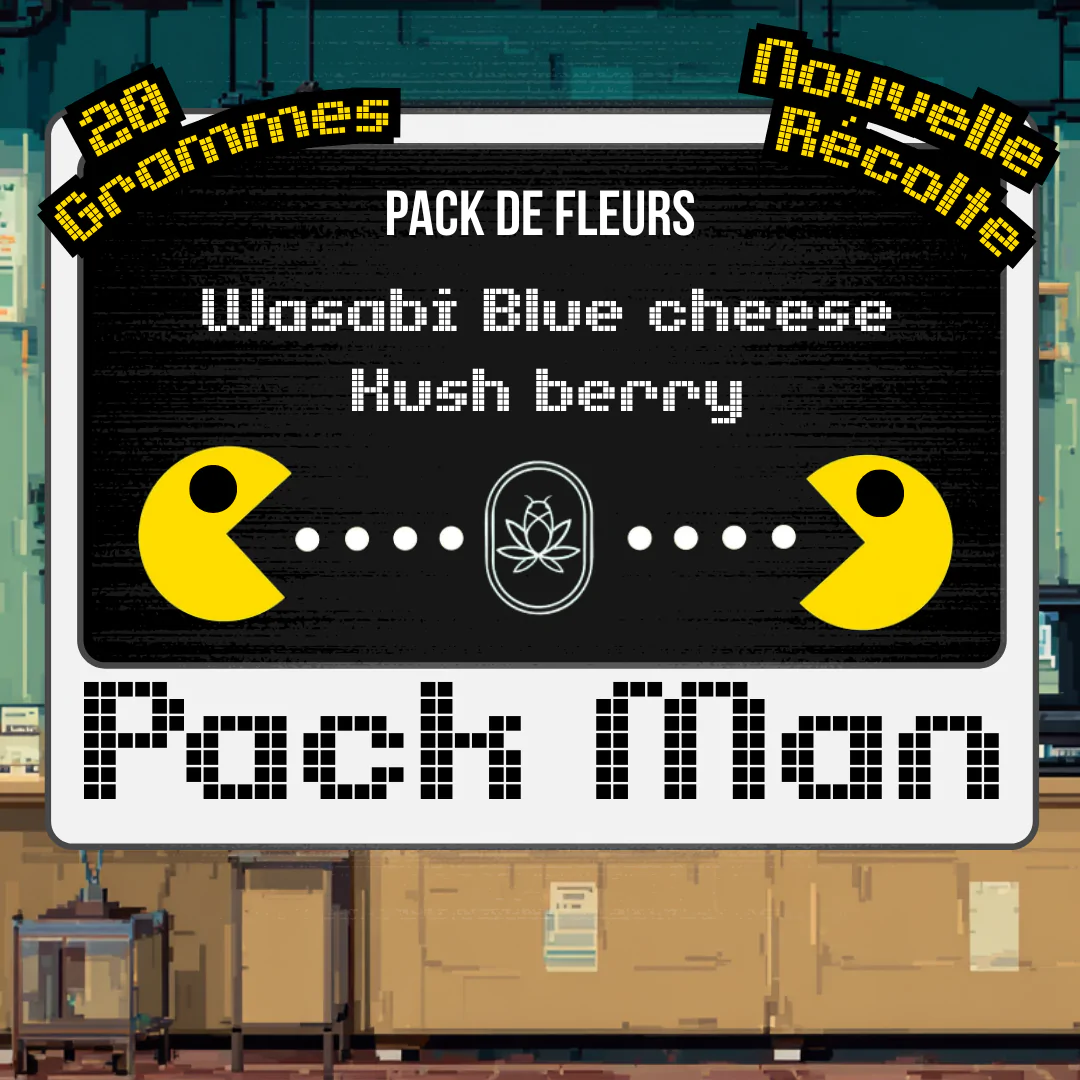 Pacman