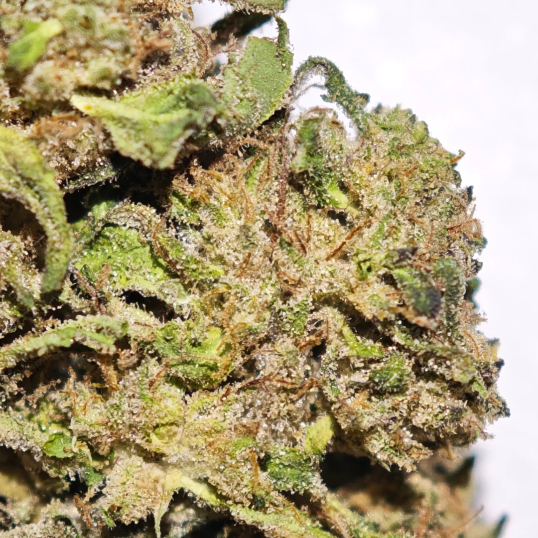 Cake Berry