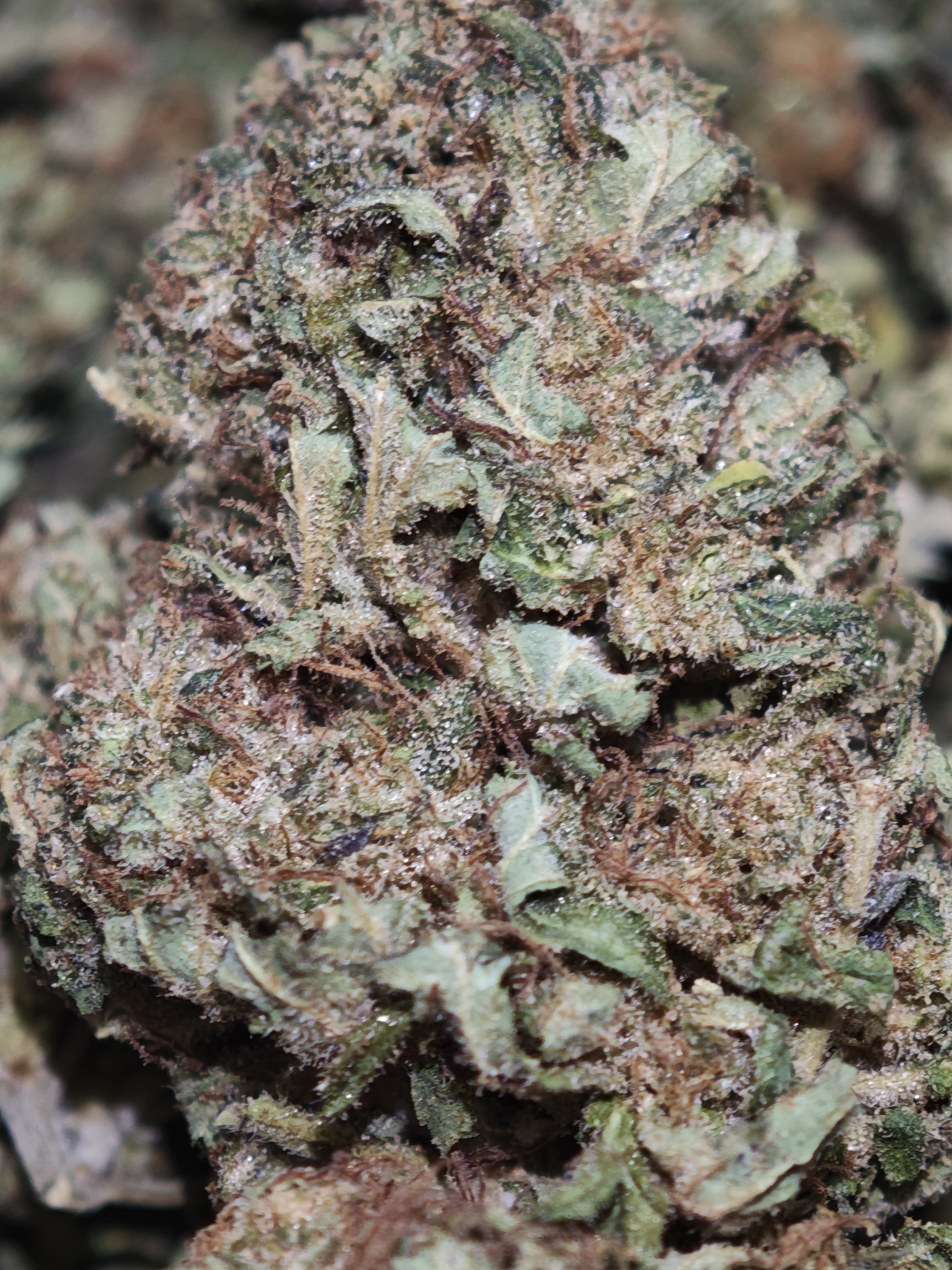 Lemon Sweet 3