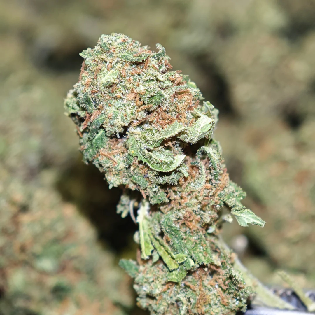 Kush Berry