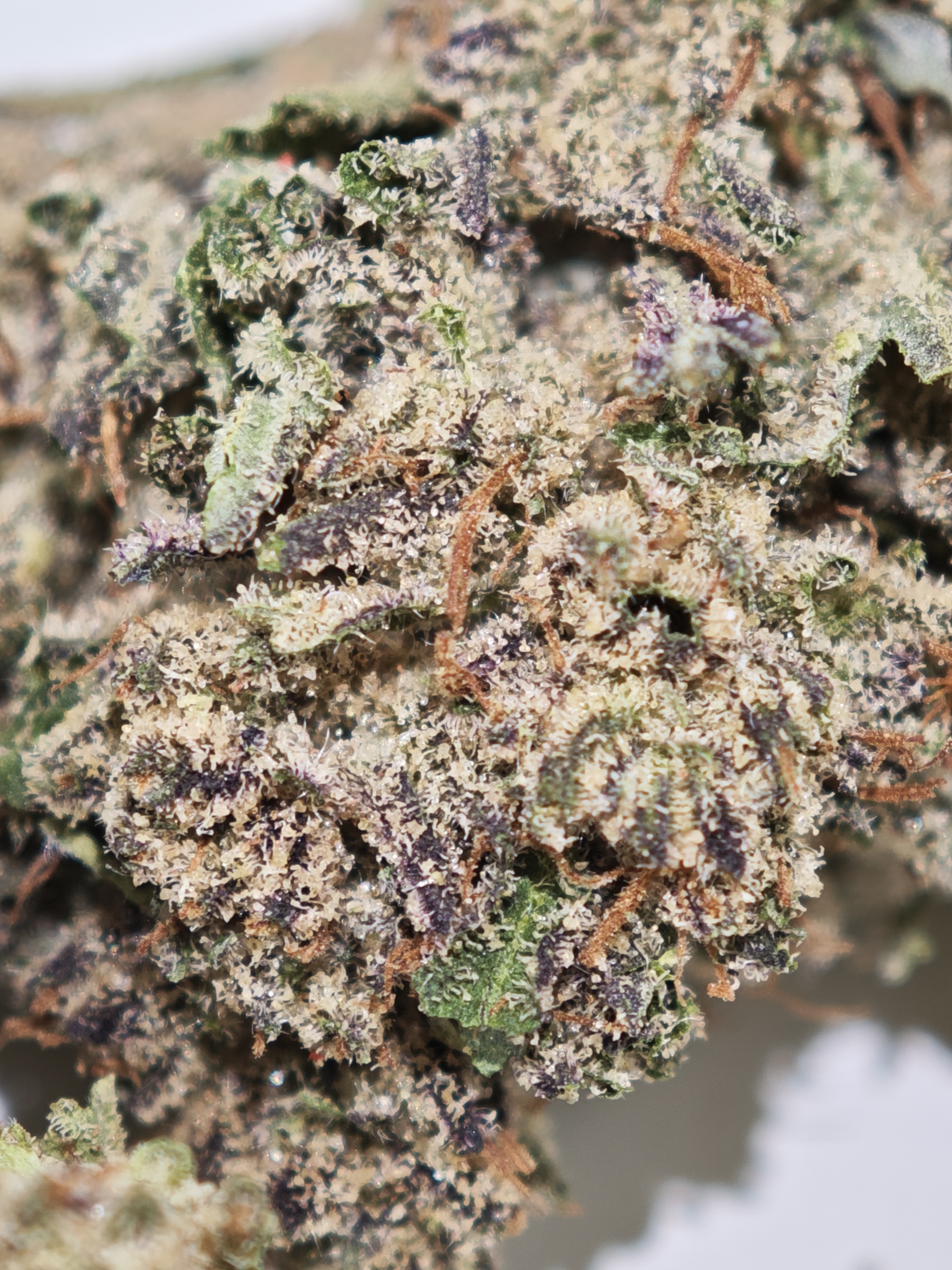 Blue Cheese