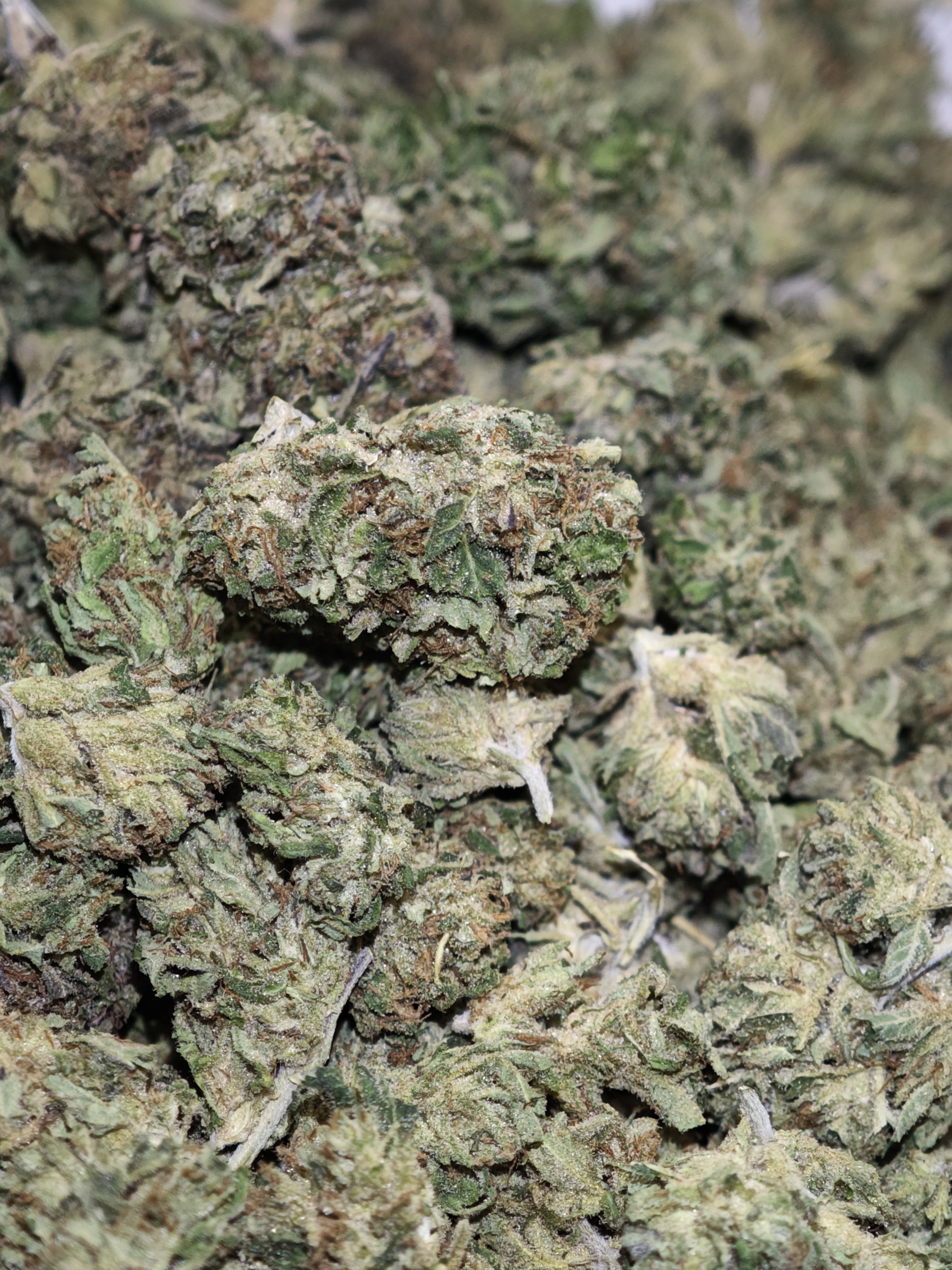 Hawaïan haze 4