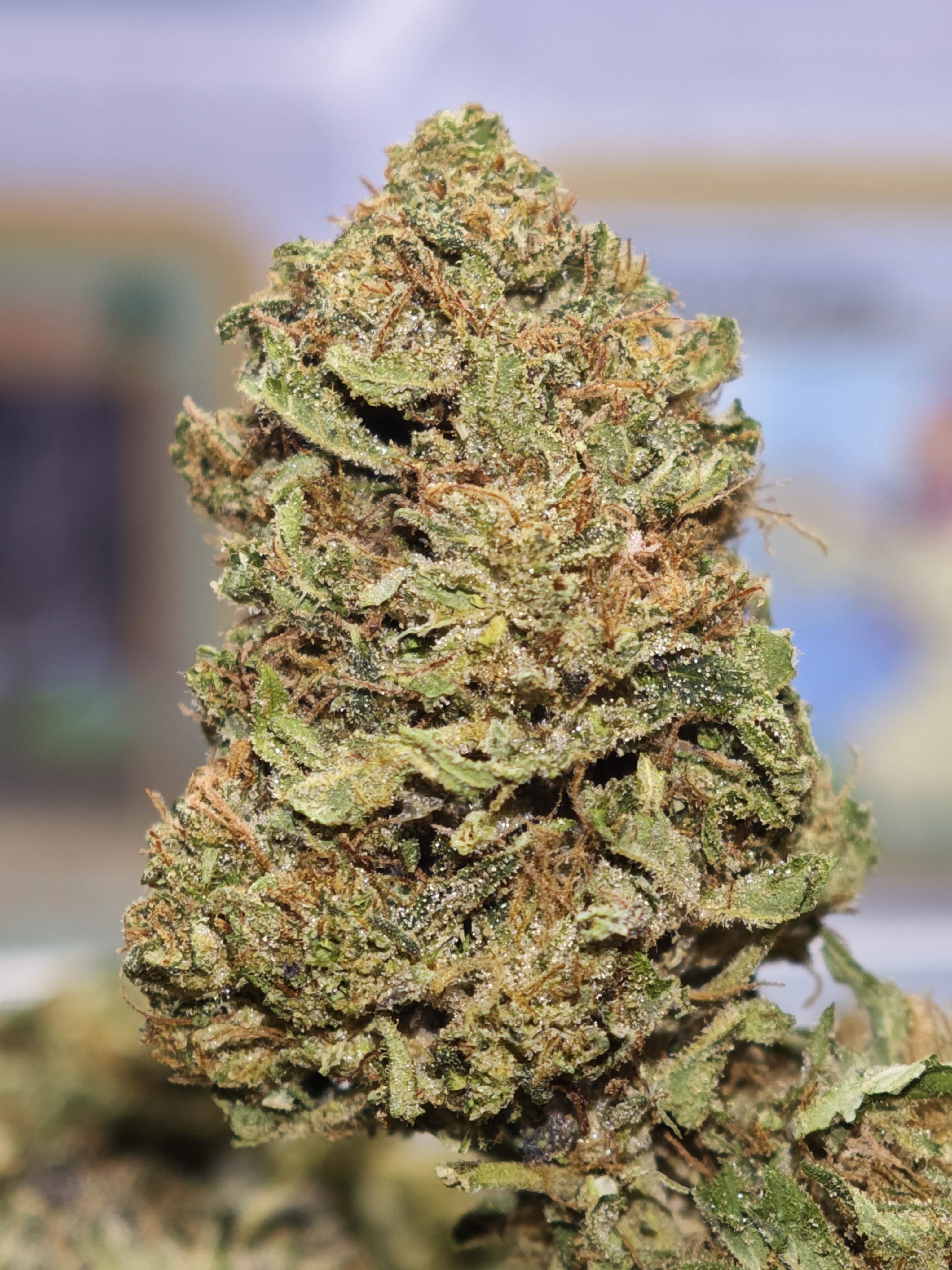 Lemon Sweet 2