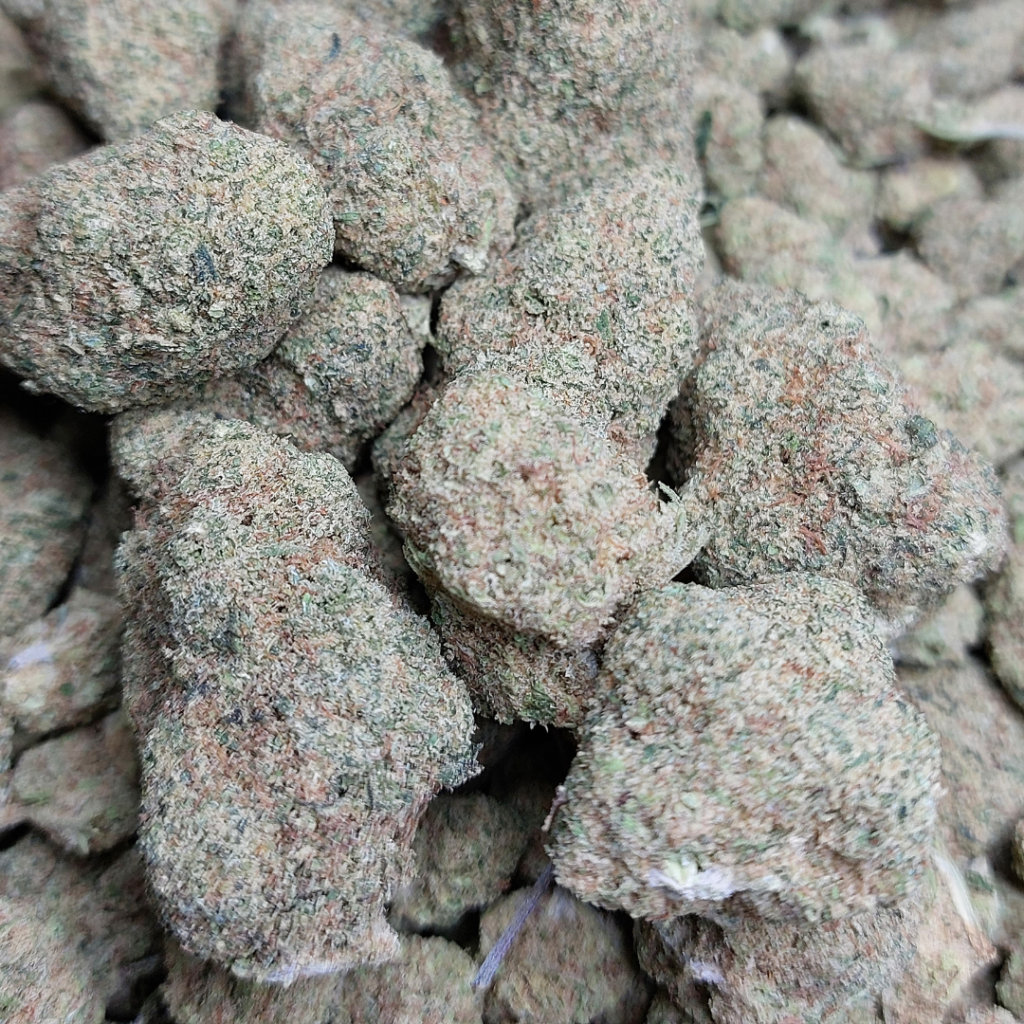 Cannabis CBD Miracle Alien Cookies