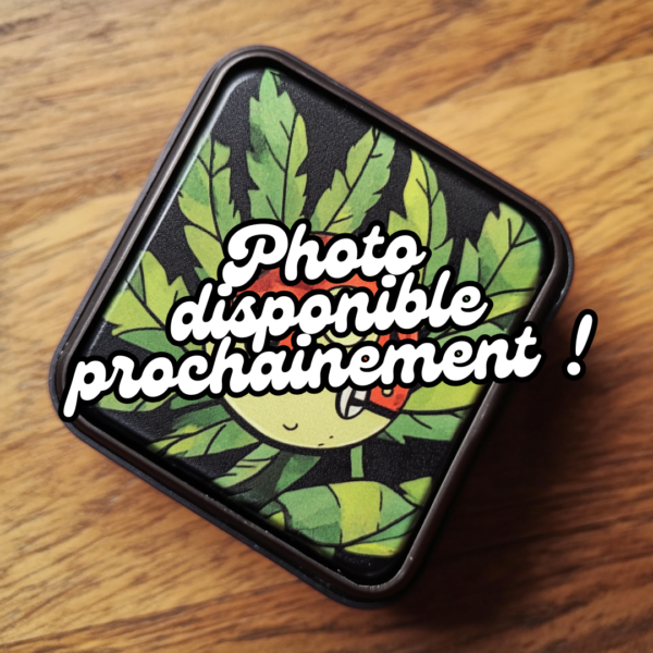 Cookiz.io x Kanab'yo : Raspberry
