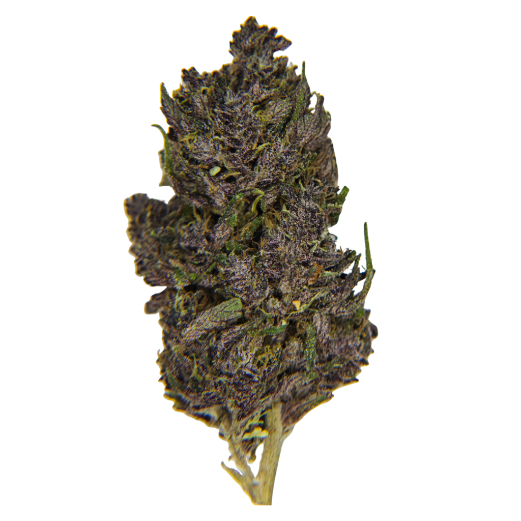 Fleur de Saphir Kush CBD française